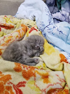 всех с летними каникулами