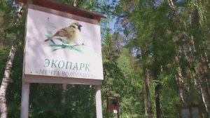 Ездила к зубному, забрела в лес, встретила белочку.
