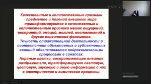 Алкоголь и мозг