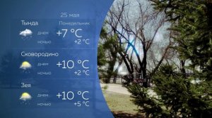 Прогноз погоды на 25.05.2026