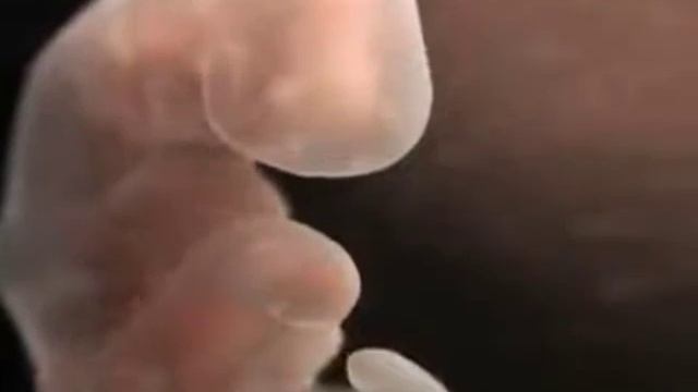 КОМЕДИЯ РОК Сборник клипов - Русский Бард-Рок. Часть 1.