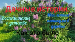 Дачные истории. Воспоминания. Как я проводил летние каникулы в детстве.