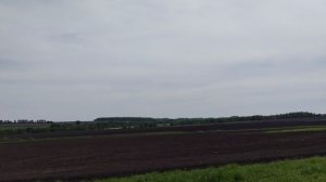 Тульская область. Чернозем.