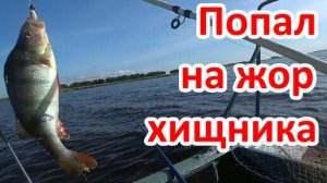 БЕШЕНЫЙ КЛЁВ ХИЩНИКА!!! Рыбалка на фидер, удочку и джиг!(окунь, судак)