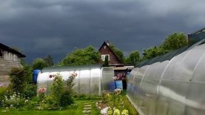 100-.Дача.Гроза☂️а мы Туи сажаем🤣🤣🤣сумасшедшие дачники🤣🤣🤣09.08.22.