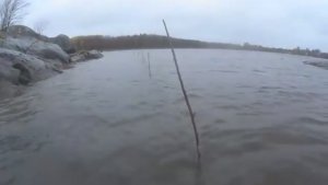 ИДУЩИЙ ПО ВОДЕ! ЭТА РЫБА ЧУТЬ МЕНЯ САМОГО НЕ УТАЩИЛА В МОРЕ! КОЛЫ СПАСЛИ!