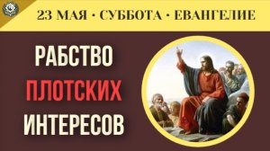 Почему эмоциональные переживания не заменяют практического исполнения заповедей I 23 мая (5 минут)