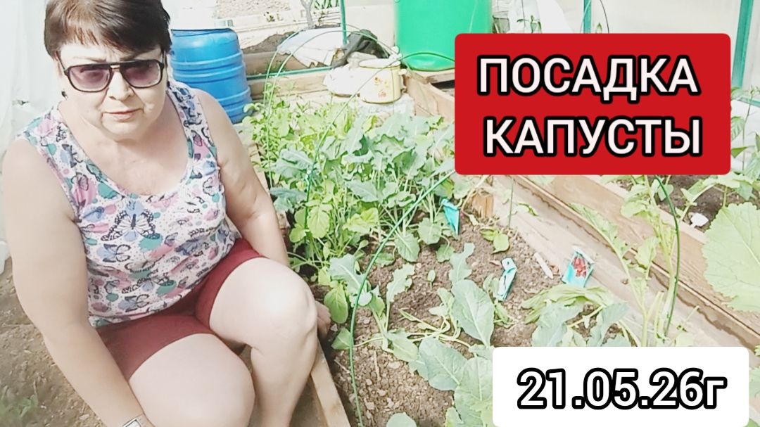 ПОСАДКА КАПУСТЫ.🤔21.05.26г