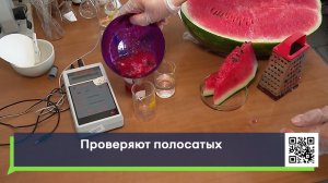 Проверяют полосатых