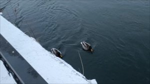 Поездка во Владивосток за авто. Часть8. Красноярск.