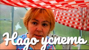 Успеть все .Силы на исходе , а дела не заканчиваются.