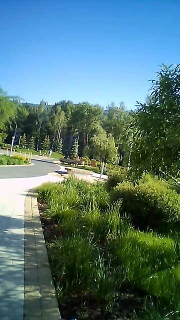 VID_20260522_160056 смотреть онлайн