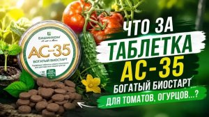 Внимание, томаты на биостарт! Ключ к урожаю и Еде +800% пользы – биотаблетки АС-35
