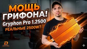 Идеальный усилитель для мощного баса? Разбираем Gryphon Pro 1.2500 v2 от DL audio