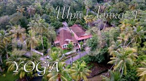 Шри-Ланка 🇱🇰 Sri Lanka. Bentota 🌴Yoga 🧘