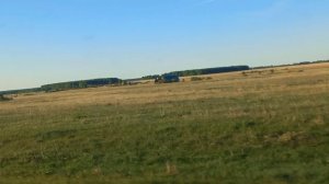дорога в Омск