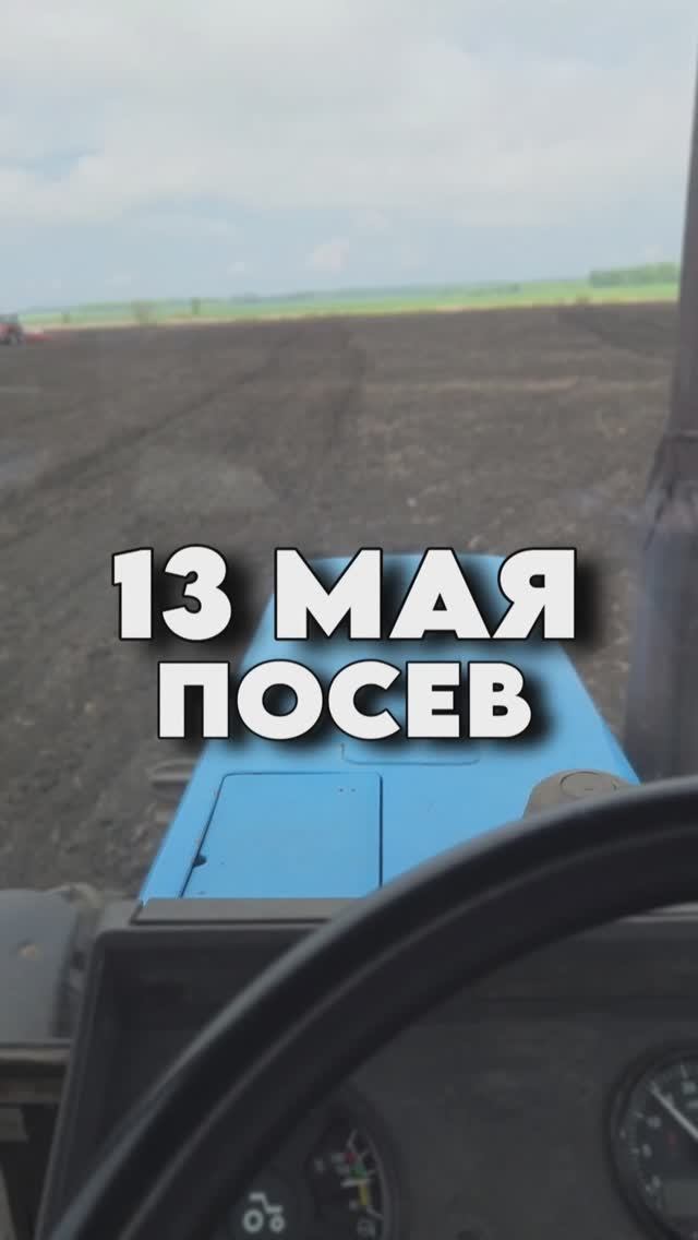 Посев подсолнечника идет полным ходом! #AUM #YogaFerma #сельскоехозяйство #ферма #подсолнечник