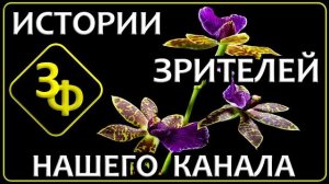 317 Все растения и животные имеют свой уровень осознанности |  Истории зрителей канала