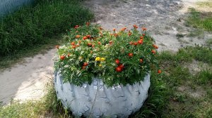 Тюмень Лесобаза №4 _ Тура