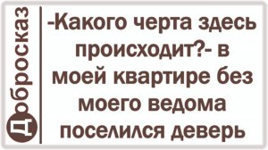 -Какого черта здесь происходит?- в моей квартире без моего ведома поселился деверь