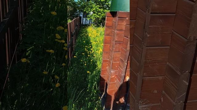 2338.mp4 смотреть онлайн