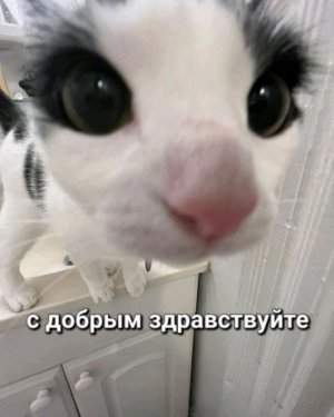 распоковочка