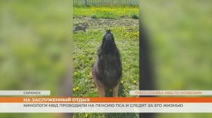 Кинологи МВД по Мордовии проводили на пенсию пса и следят за его жизнью