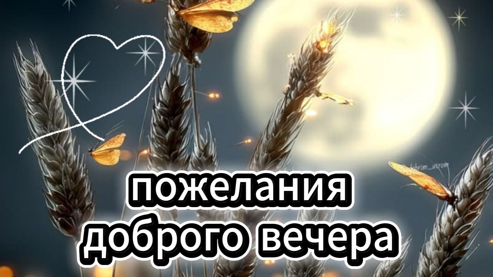 Добрый вечер: красивая музыкальная открытка и пожелания доброго вечера | Домохозяйка