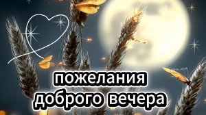 Добрый вечер: красивая музыкальная открытка и пожелания доброго вечера | Домохозяйка