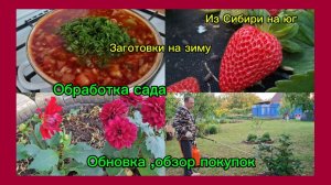 22-05-2026/Краснодарский край/Мы из Сибири/Домашние хлопоты//В центр за покупками//Обработка сада //