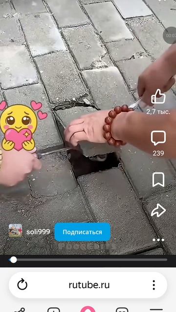 Посмотрю 100 sorts на рутуб смотреть онлайн