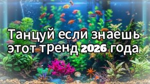 Танцуй если знаешь этот тренд 2026 года