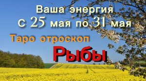 РЫБЫ ваша энергия !💕с 25  по 31 мая ‼️ #гадание #таро #раскладтаро
