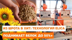 ИЗ ШРОТА В ХИТ: технология Elica поднимает белок до 50%+