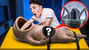 О Боже! Что внутри ПОЖИРАТЕЛЯ МОРЕЙ ?! 😱 ПОДВОДНЫЕ МОНСТРЫ БЛУП и ЭЛЬ ГРАН МАЙЯ