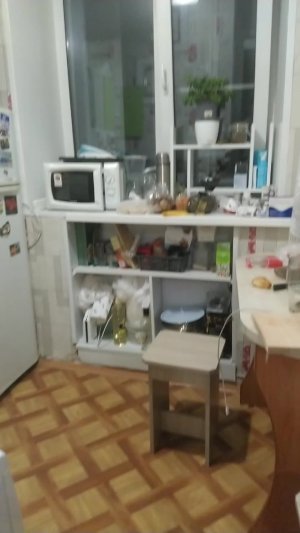пытаюсь поймать комара
