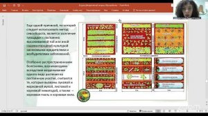 Красивая дача. Урок 50 22.5 10:00