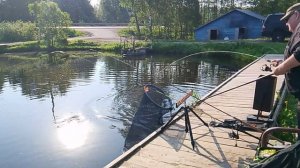 Ловля форели на донную снасть РК «Фишка Петряиха»