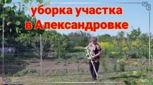 Александровка, уборка участка и покос у Тани. Тля замучила. Ремонт у мурманчан.  Море, Ейская коса.