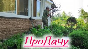 Муж не верил, но убрал.