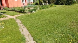 Бабуля ведет бой с одуванами.
