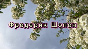 Фредерик Шопен, вальс №7, классическая музыка