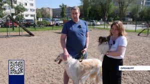 ПРАВИЛА ВЫГУЛА
