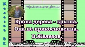 Крона дерева - крыша. Она не прикосновенна. В.Железов.