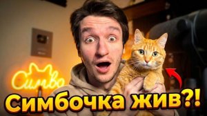 Симпочка пимпочка жив (хозяин симбочки нас обманул)