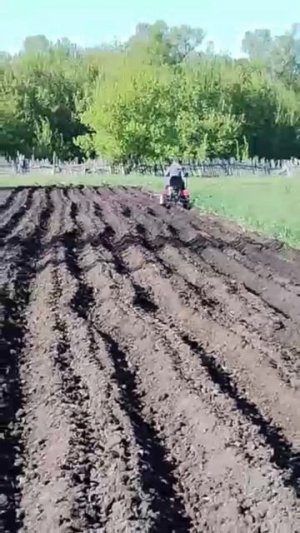 🚜 МТ-110 без фильтров: с ваших полей и огородов