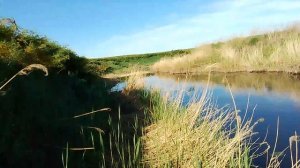 VID_20260522_080839.mp4 щука на донку на живца вес щуки 2,300