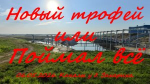 Новый трофей или поймал всё. 06.05.2026. Каналы у д. Захариха. Рыбалка в Подмосковье.