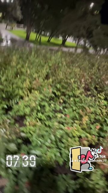 Волгоград