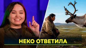 Новый выпуск программы «Неко, ответь» научит различать оленей